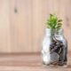 401k vs Roth IRA retirement savings jar