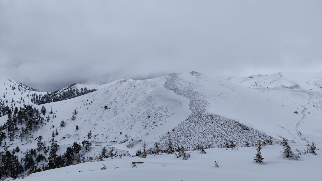Snow avalanche on mountain representing debt snowball vs debt avalanche methods