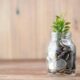 Glass jar of coins representing a high-yield savings account