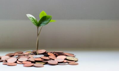 Growing plant on coins representing how to start investing with $100