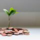 Growing plant on coins representing how to start investing with $100