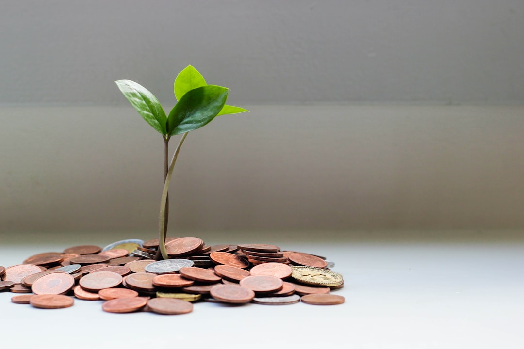 Growing plant on coins representing how to start investing with $100
