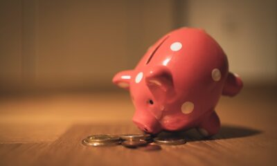 High-yield savings account rates in 2026 illustrated by coins growing in a piggy bank